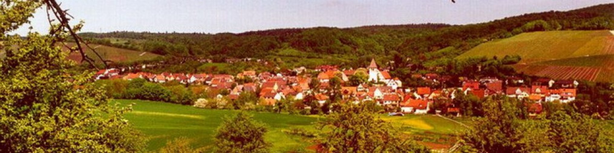 Schwäbischer Albverein | Ortsgruppe Häfnerhaslach